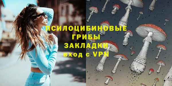 дживик Семикаракорск
