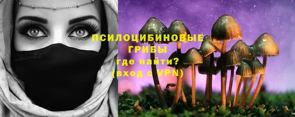бошки Абдулино